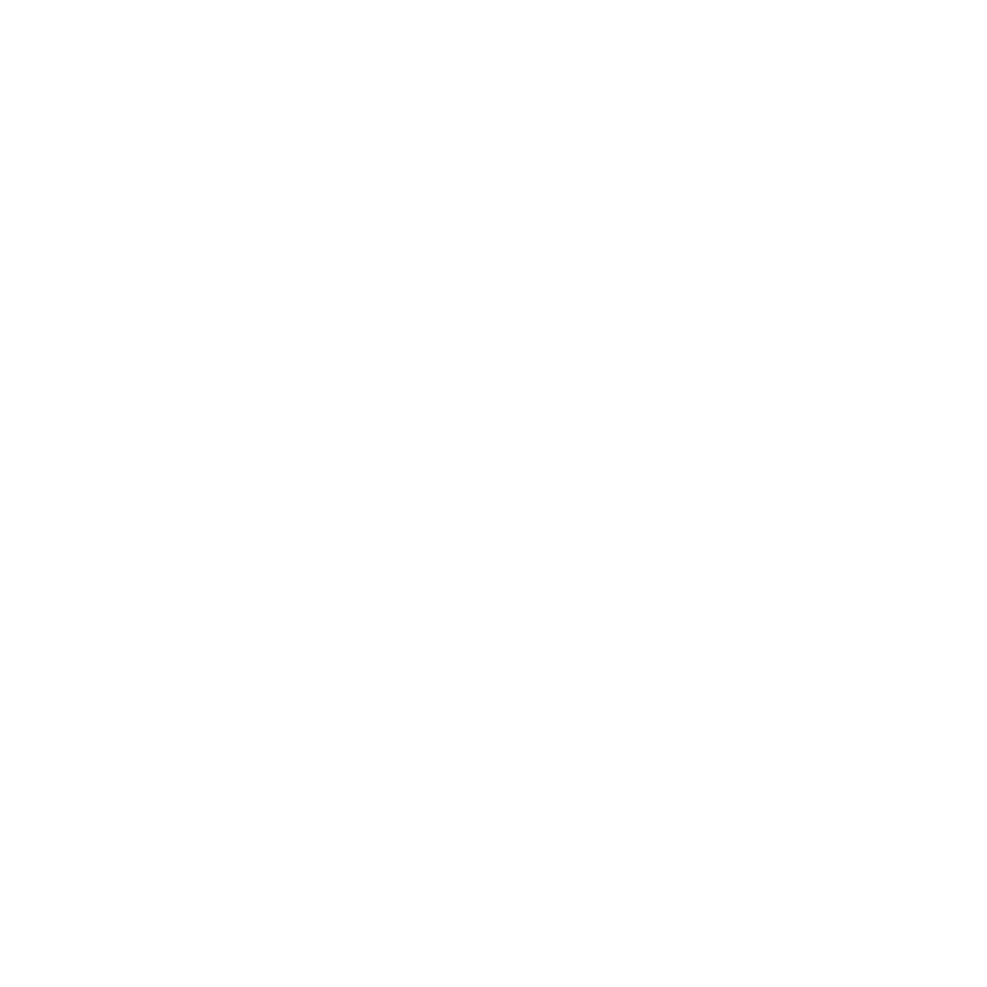 Logo cpnlt blanc